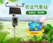 山東地區(qū)無(wú)公害葡萄種植需要什么條件？